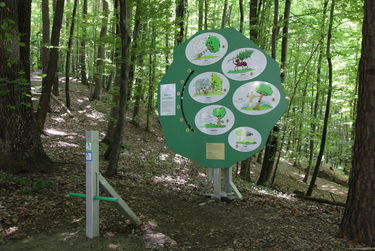 Station 15: Bäume ausreißen Bild zeigt die Erlebnisstation 15: Schild im Form eines Baumes welches Information zur Station gibt.