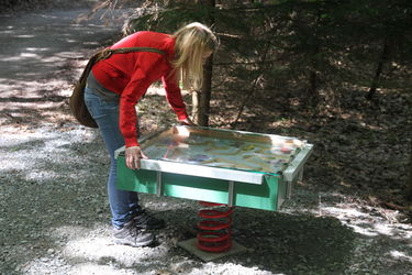 Station 07: Leben in geordneten Bahnen Bild zeigt die Erlebnisstation 7: Frau die sich an lebensgroßer Kugelbahn amüsiert.
