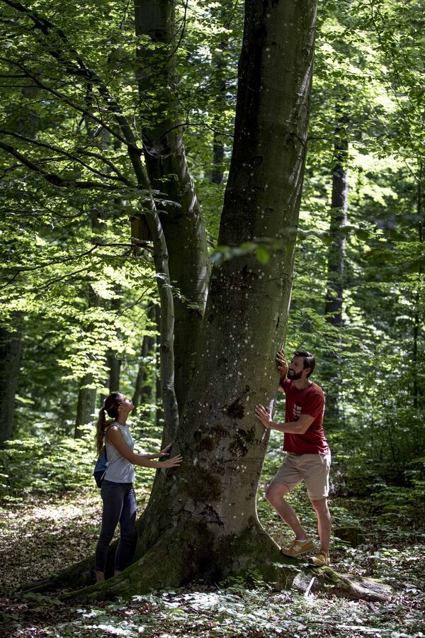 Station 24 - Baum-Balance Bild zeigt einen Mann und eine Frau am Erlebnisweg die einen Baum berühren.