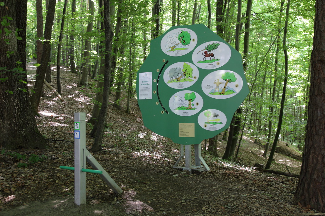 Bild zeigt die Erlebnisstation 15: Schild im Form eines Baumes welches Information zur Station gibt.